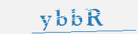 보안문자